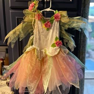 Toddler Size 5-6 Fairy Dust Fairy Costume